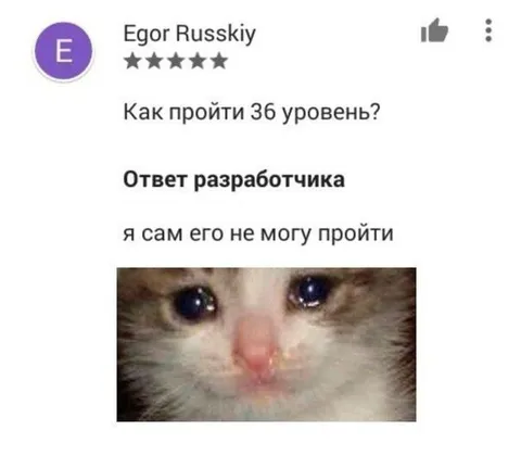 Разработчик не может пройти уровень