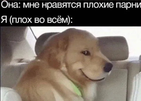 Плохие парни нравятся ей