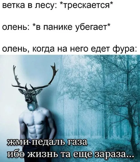 Олень нажимает педаль газа