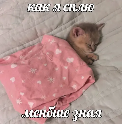 Как я сплю меньше зная