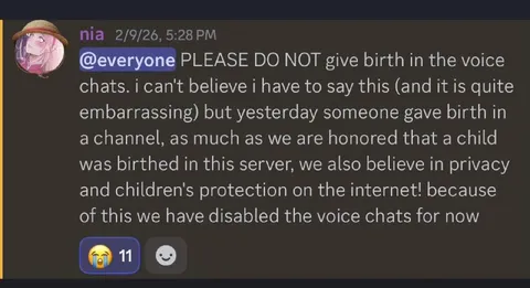 Please Do Not Give Birth in Voice Chat