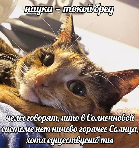 Научка — такой бред