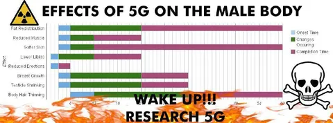 Effects of 5G on the Male Body