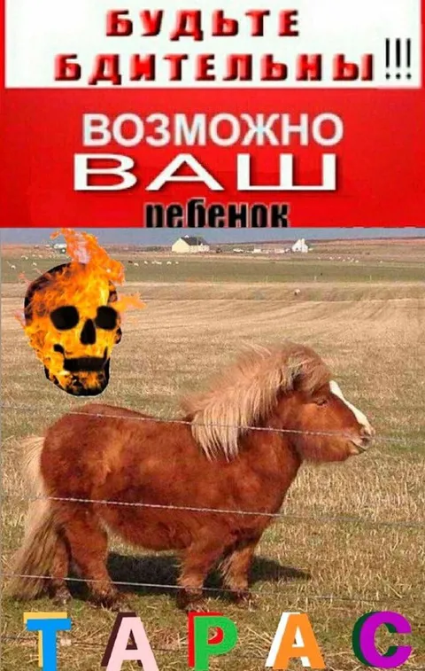 Возможно ваш ребенок Тарас