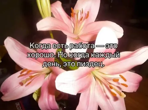 Когда работа каждый день