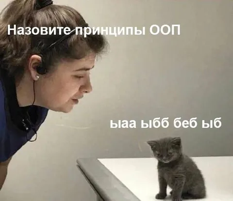 Котёнок отвечает про принципы ООП