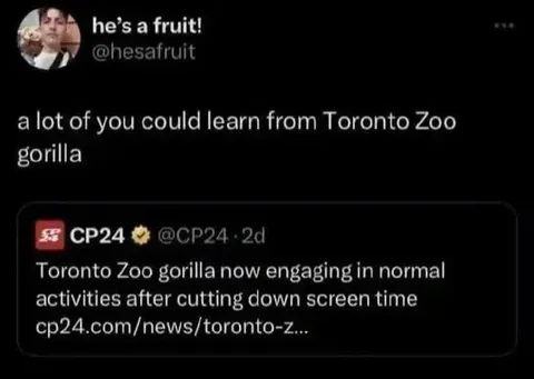 Toronto Zoo Gorilla Cuts Screen Time