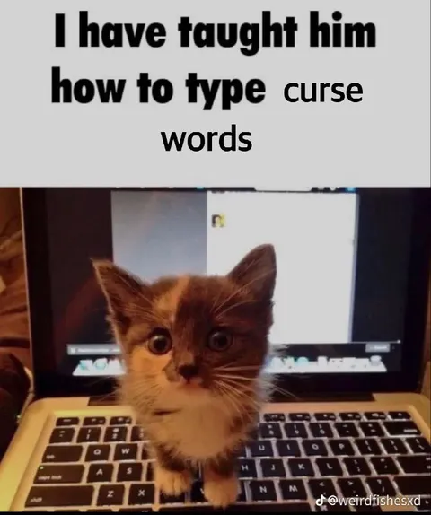 Kitten Typing Curse Words