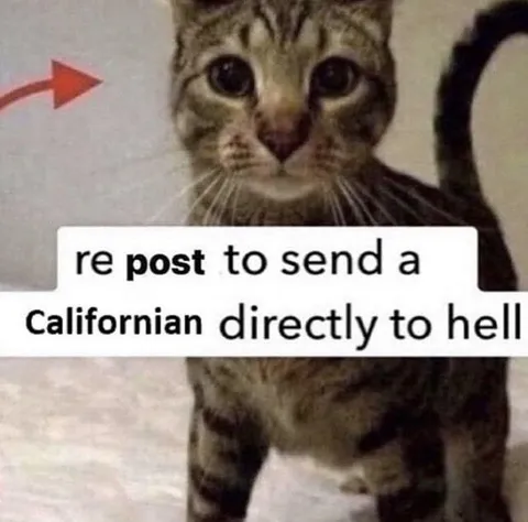 Cat Sends Californian to Hell