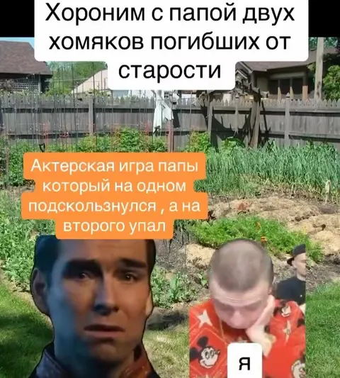 Похороны двух хомяков