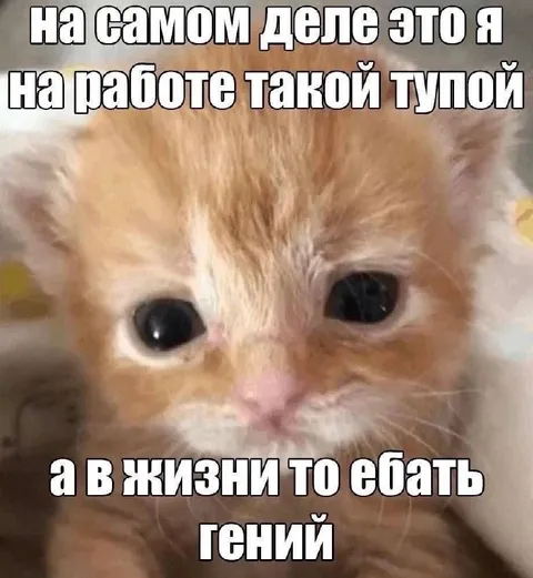 На работе тупой, в жизни гений