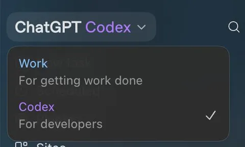 Codex For Developers