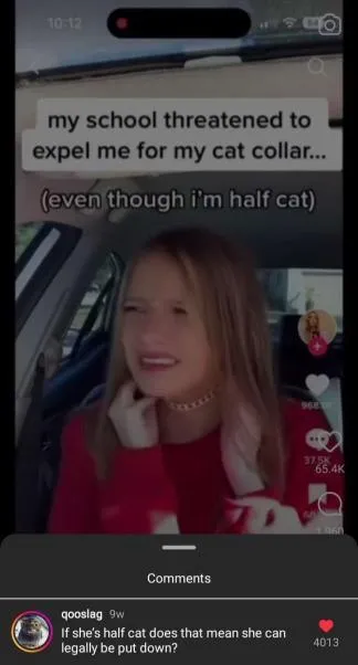Half Cat School Threat
