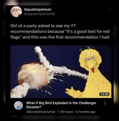 Big Bird Challenger Disaster Recommendation