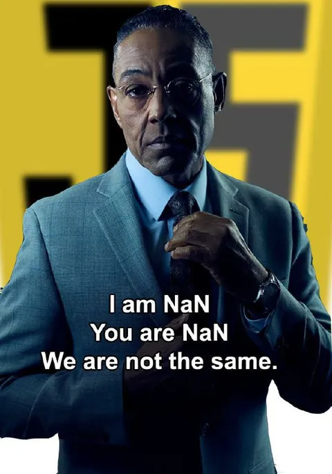 I am NaN, you are NaN