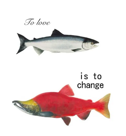 To Love Is to Change Fish