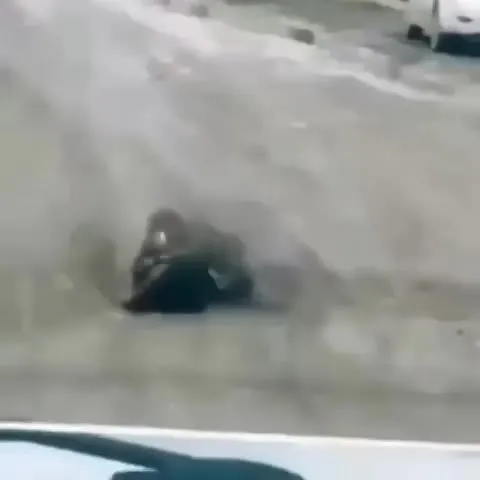 Кот эффектно падает в лужу