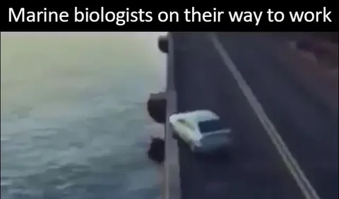 Marine Biologists Commute to Work