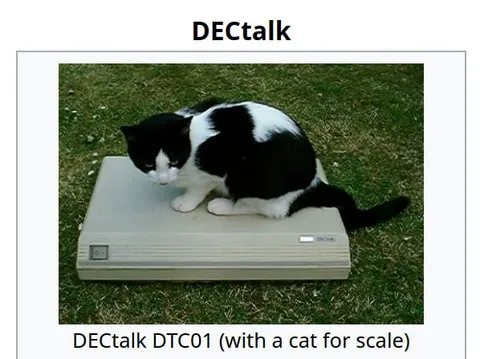 DECtalk DTC01 Cat for Scale