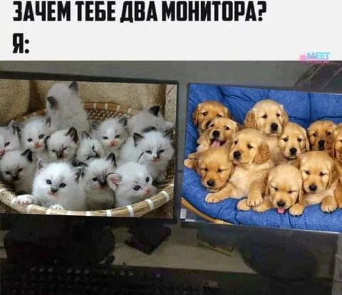 Зачем тебе два монитора