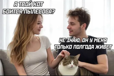 Кот живёт только полгода