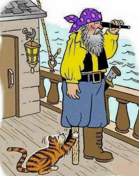 Кот не отпускает моряка
