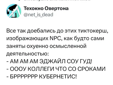 Тиктокеры изображают NPC