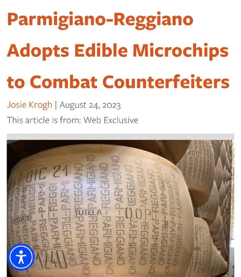Parmigiano Edible Microchips