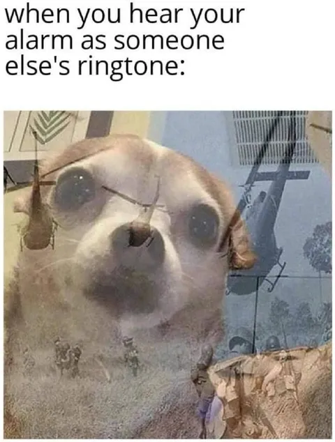 Dog Hears Your Alarm