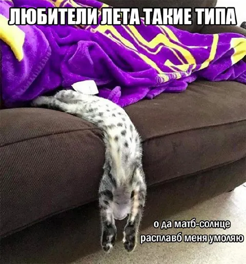 Любители лета на солнце