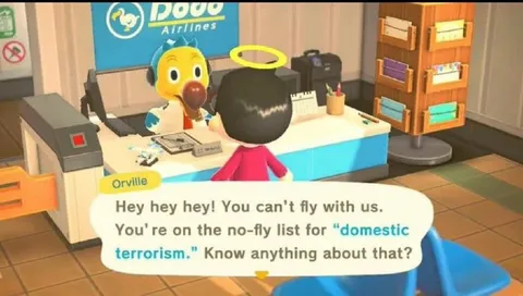 Domestic Terrorism No-Fly List
