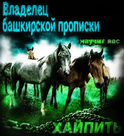 Владелец башкирской прописки