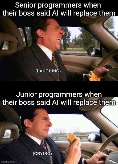 Senior vs Junior Programmers and AI