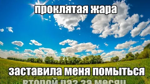 Проклятая жара заставила помыться