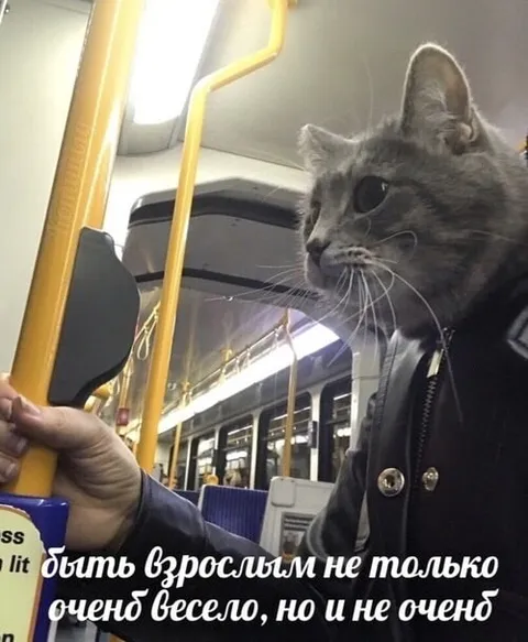 Быть взрослым не очень весело