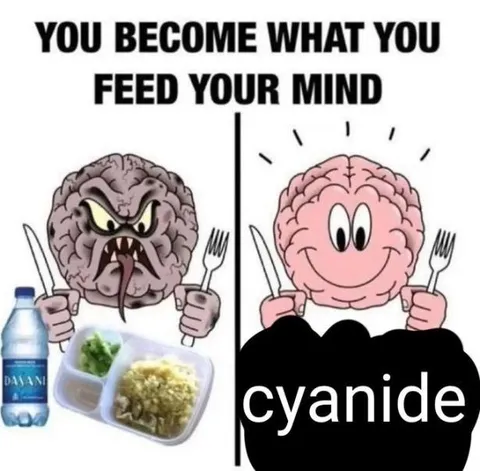 You Become What You Feed Your Mind