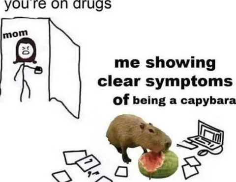 Showing Symptoms of Being a Capybara