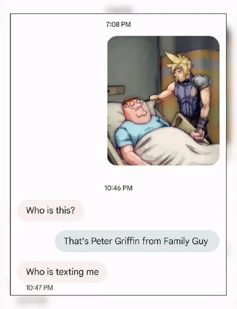 Peter Griffin Texting Meme