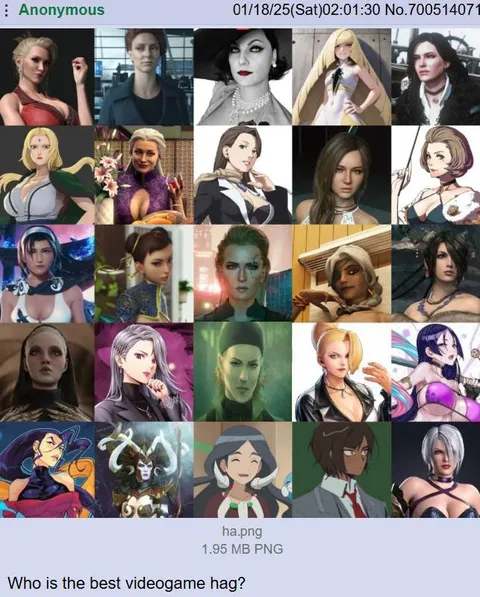 Best Videogame Hag
