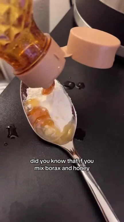 Borax Honey Ant Trap Backfires