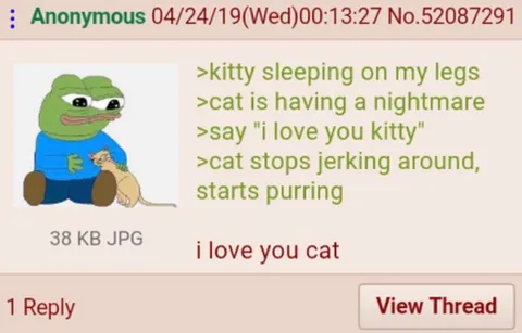 Pepe Says I Love You Cat