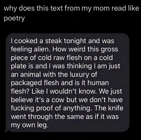 Mom's Text Reads Like Poetry