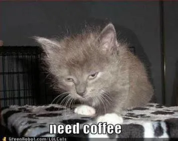 Sleepy Cat Needs Coffee