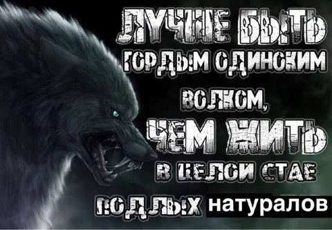 Гордый славянский вояк