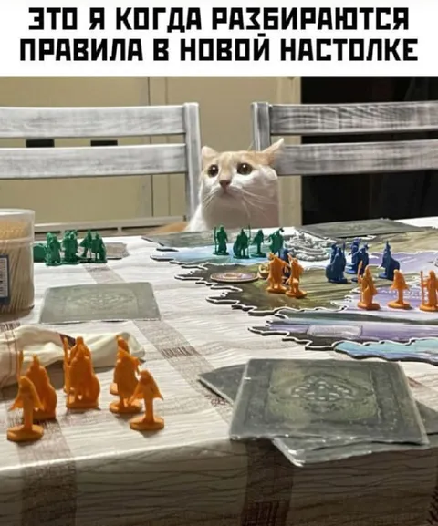 Кот разбирается в правилах настолки