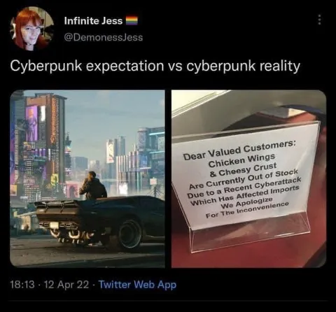 Cyberpunk Expectation vs Reality
