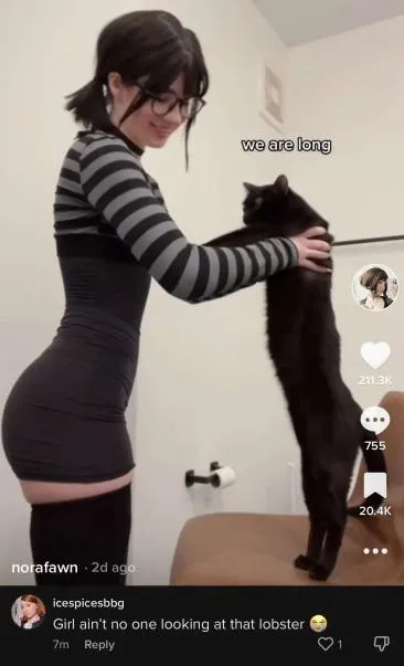 We Are Long Cat