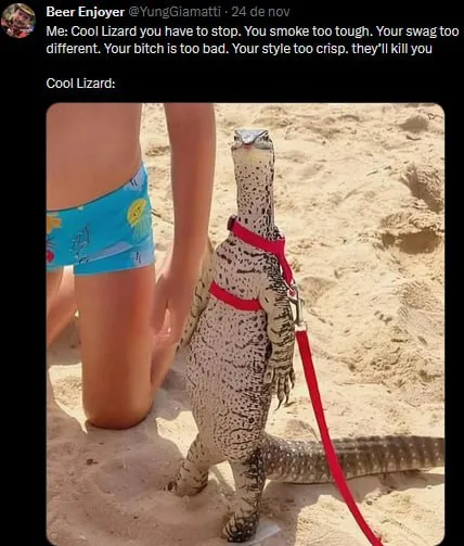 Cool Lizard Has Too Much Swag