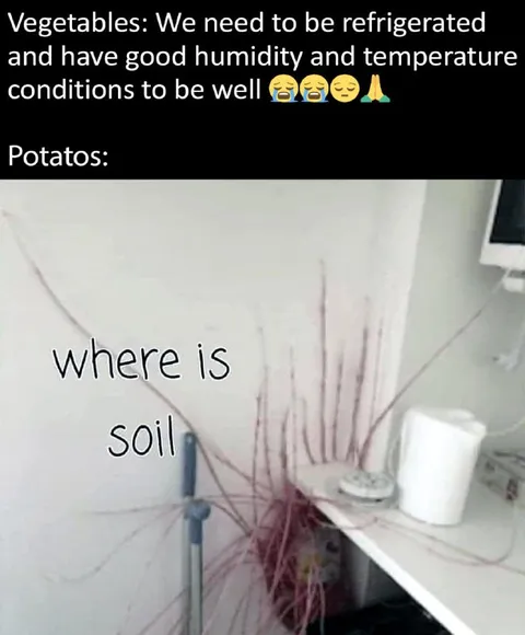 Potato Wants Soil