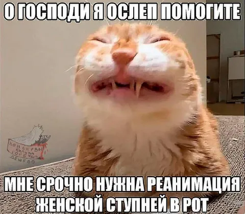 Ослеп от женской слюны